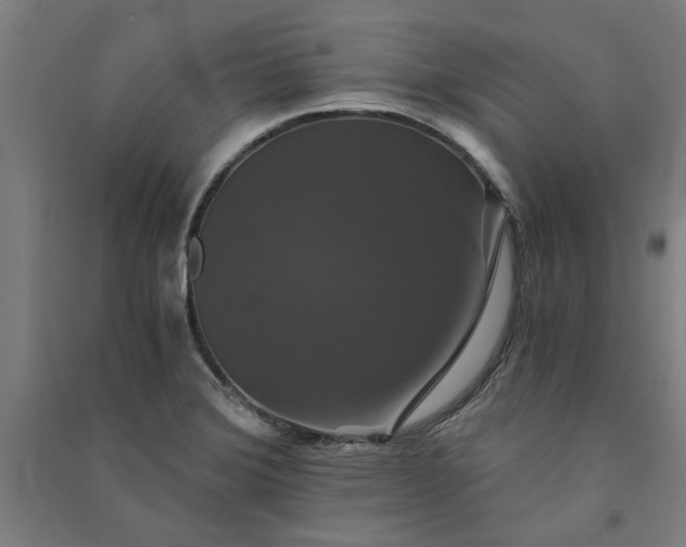 X0000091081372200708201423