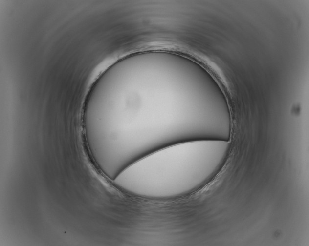 X0000091081373200708201423