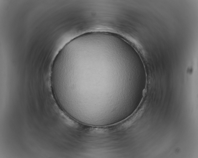 X0000091081374200708201423