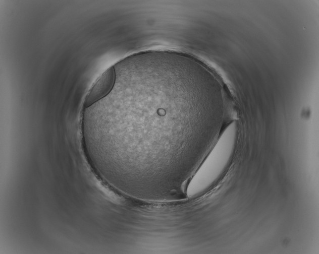 X0000091081375200708201423