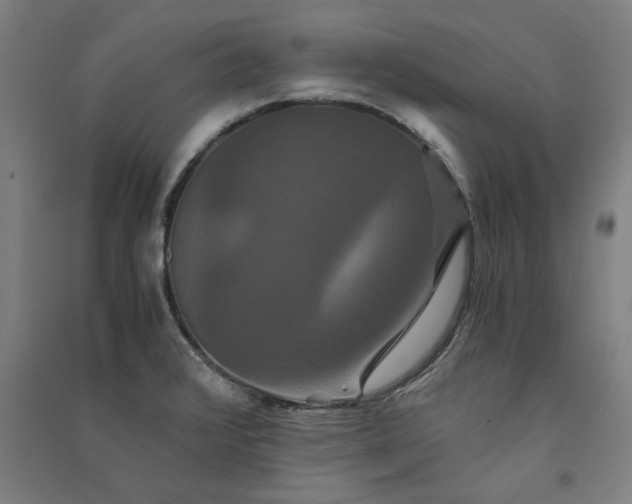 X0000091081376200708201423