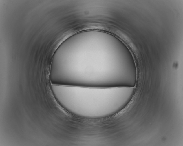 X0000091081377200708201423