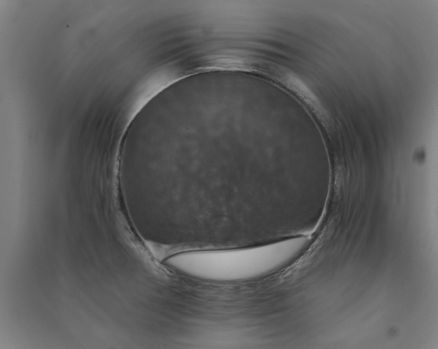 X0000091081378200708201423