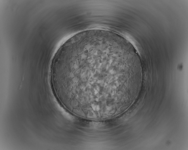 X0000091081379200708201423