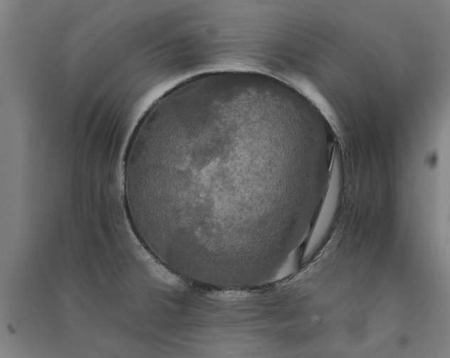 X0000091081380200708201423