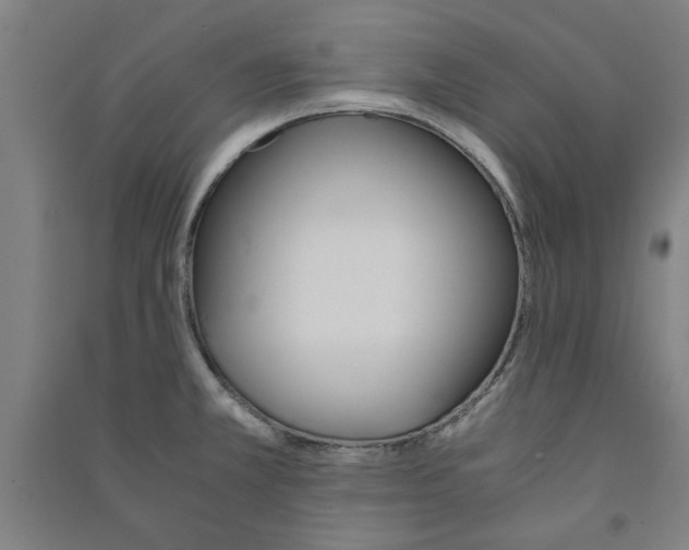 X0000091081381200708201423