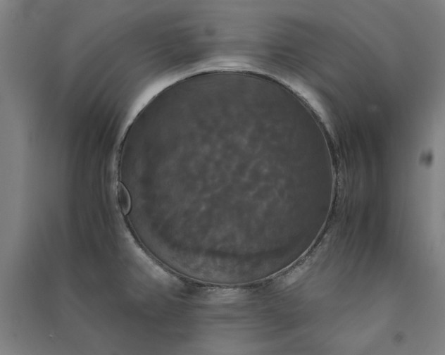 X0000091081382200708201423