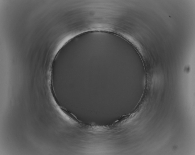 X0000091081383200708201423