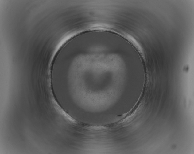 X0000091081384200708201423