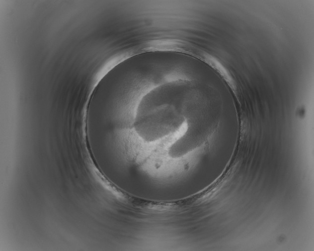 X0000091081386200708201423