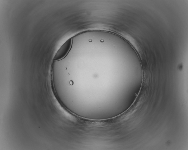 X0000091081387200708201423