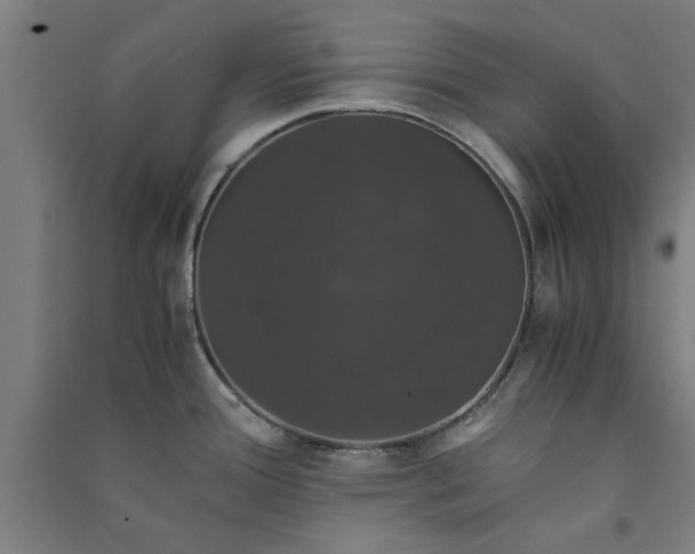 X0000091081388200708201423