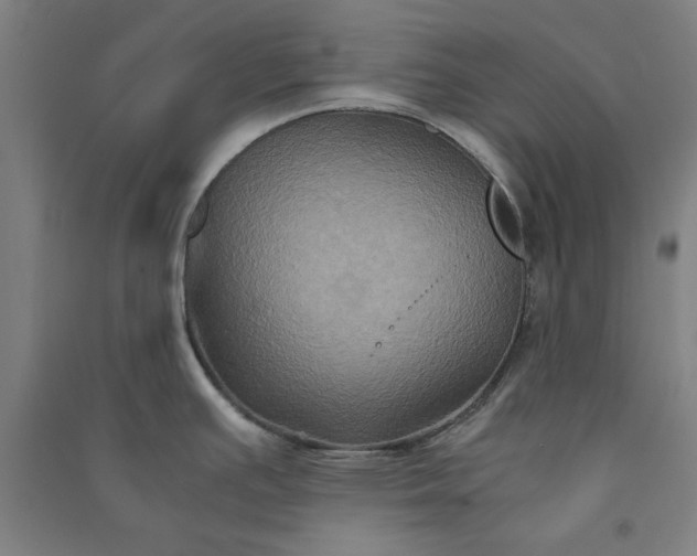 X0000091081391200708201423