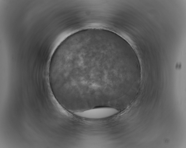 X0000091081392200708201423