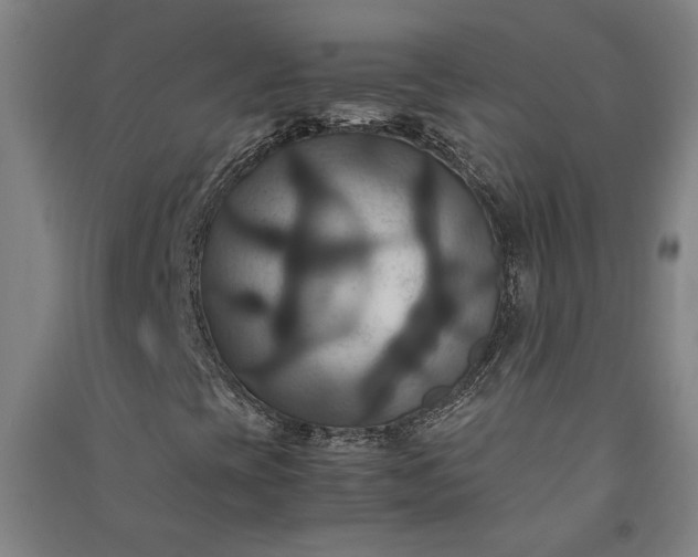 X0000091081393200708201422