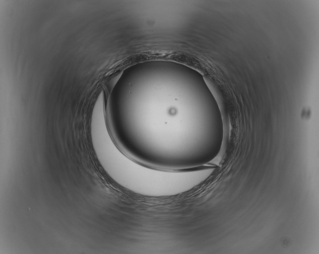 X0000091081394200708201422