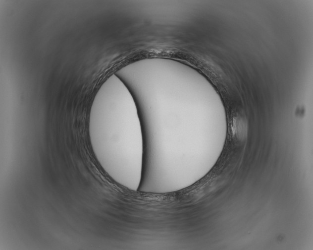 X0000091081396200708201422