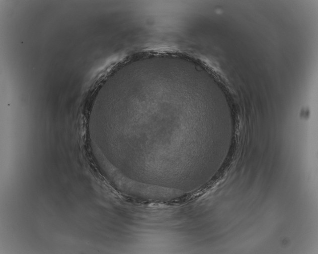 X0000091081398200708201422