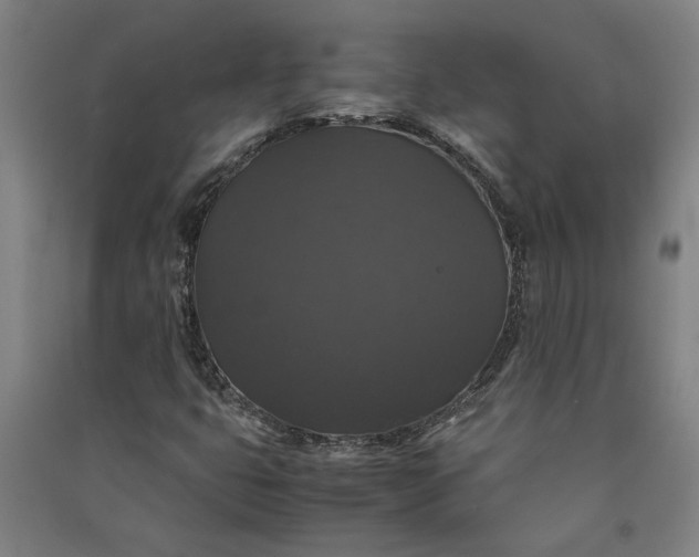 X0000091081399200708201422