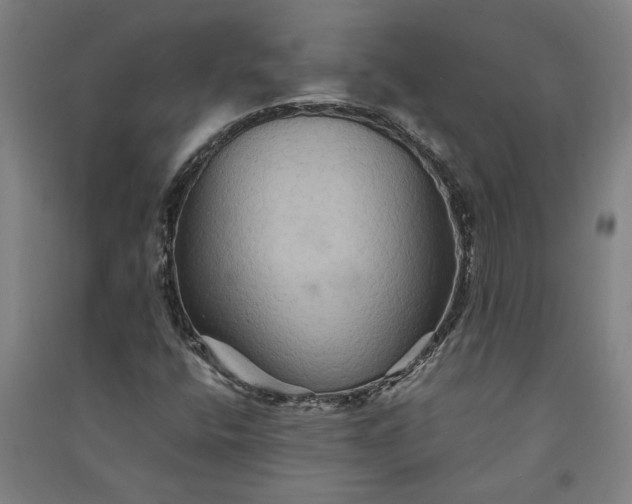 X0000091081400200708201422