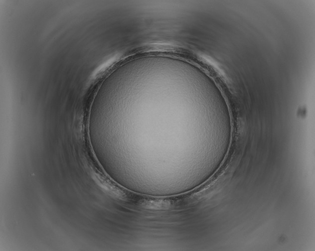 X0000091081403200708201423