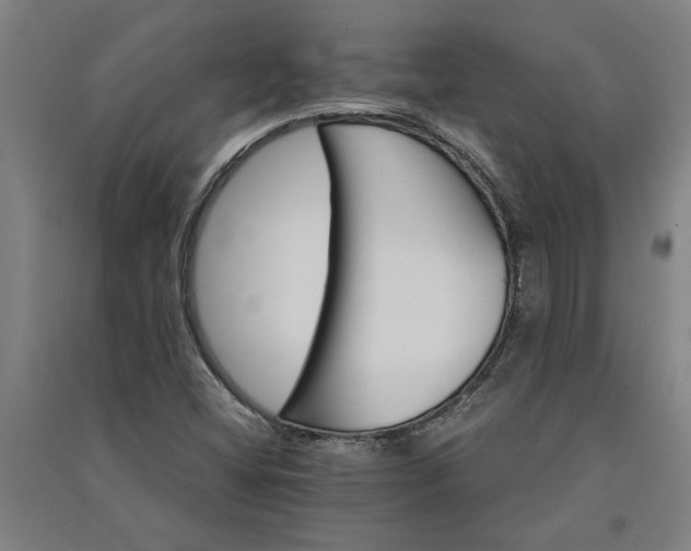 X0000091081404200708201423