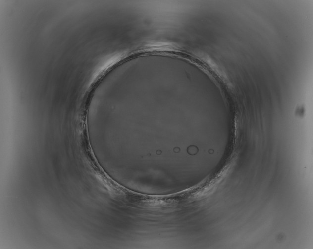 X0000091081405200708201423