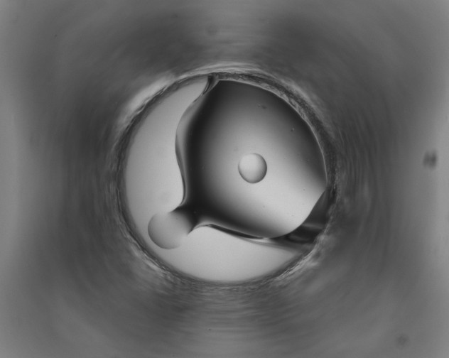 X0000091081406200708201423