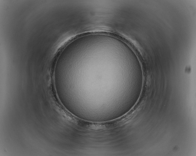 X0000091081407200708201423