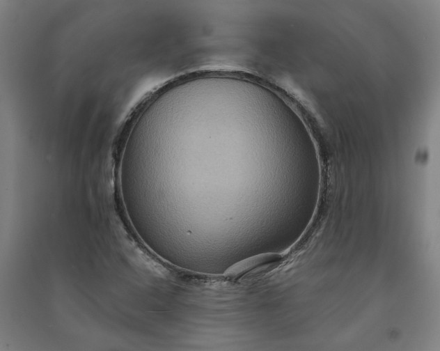 X0000091081408200708201423