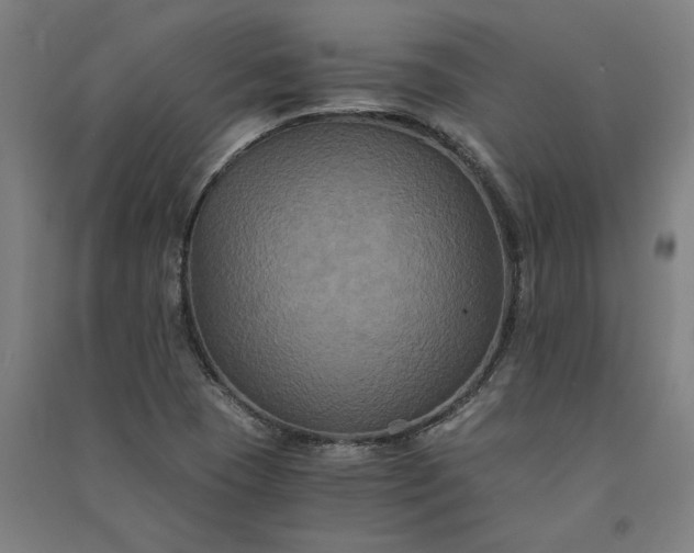 X0000091081409200708201423