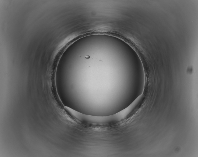 X0000091081410200708201423