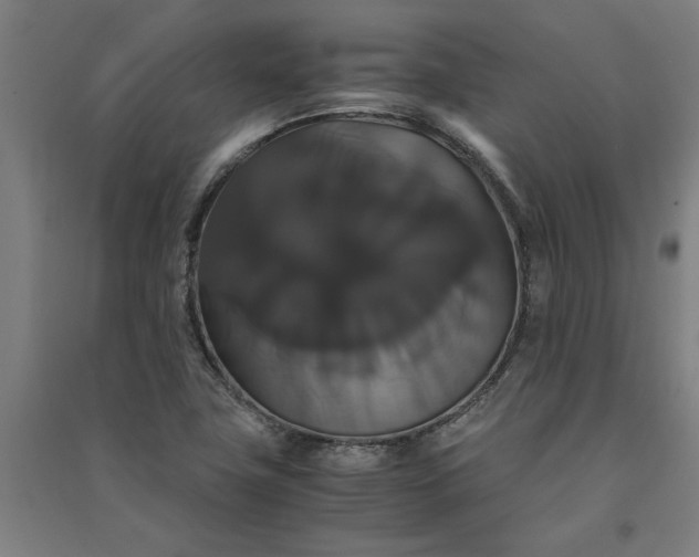 X0000091081411200708201423