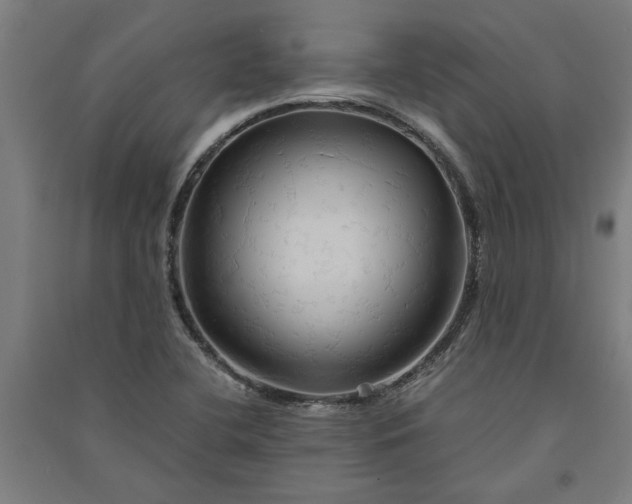 X0000091081412200708201423