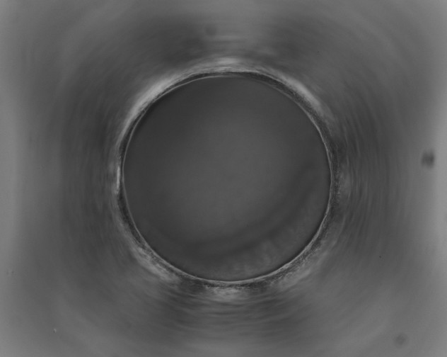 X0000091081413200708201423