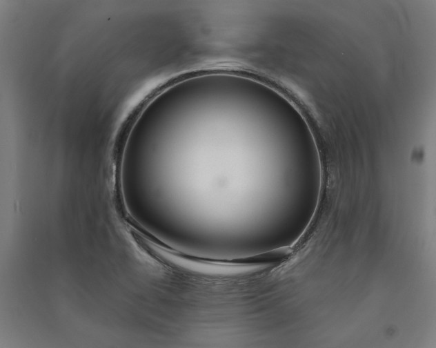 X0000091081414200708201423