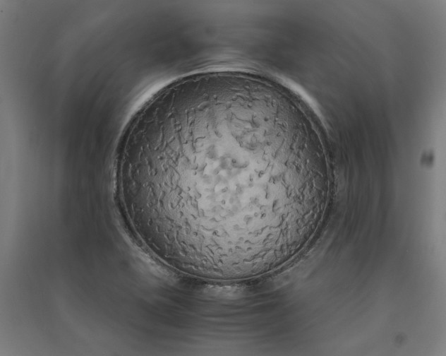 X0000091081415200708201423