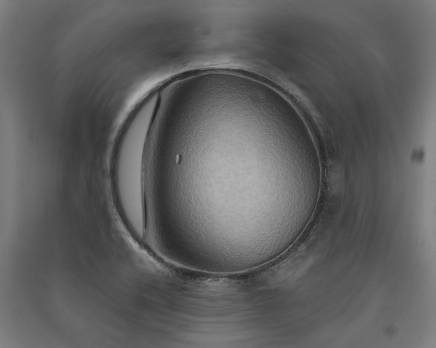 X0000091081416200708201423