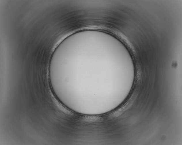 X0000091081417200708201423