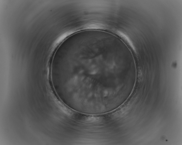 X0000091081419200708201423