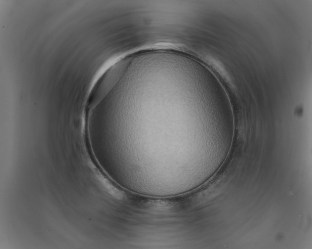 X0000091081420200708201423