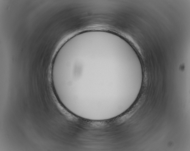 X0000091081421200708201423