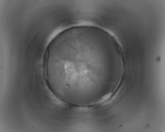 X0000091081422200708201423