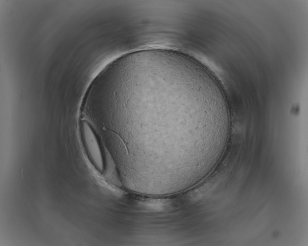 X0000091081423200708201423