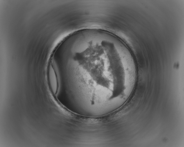 X0000091081424200708201423