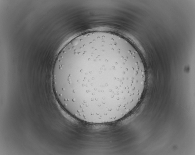 X0000091081425200708201423