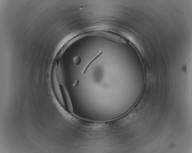 X0000091081426200708201423