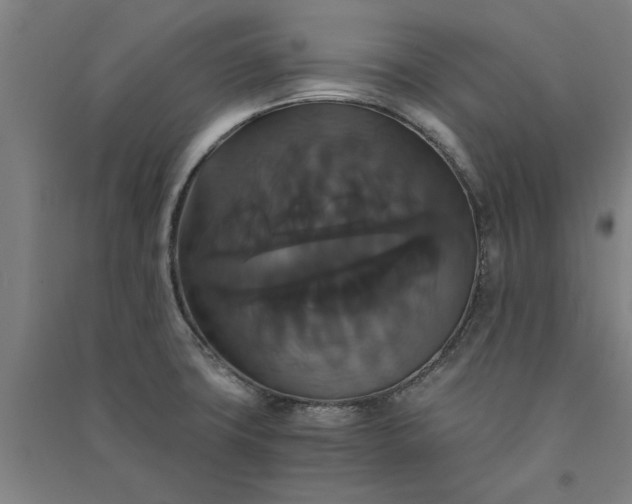 X0000091081427200708201423