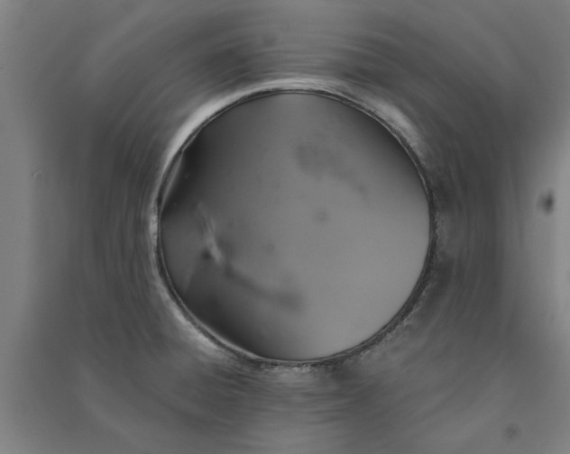 X0000091081428200708201423