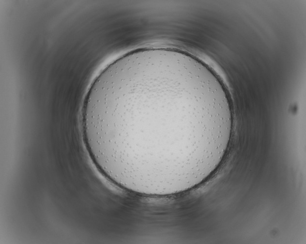 X0000091081429200708201423